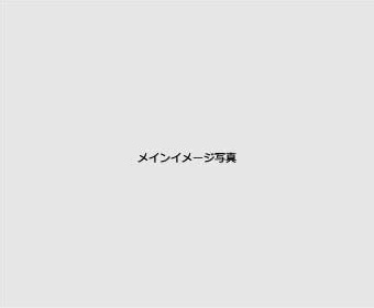 メイン写真